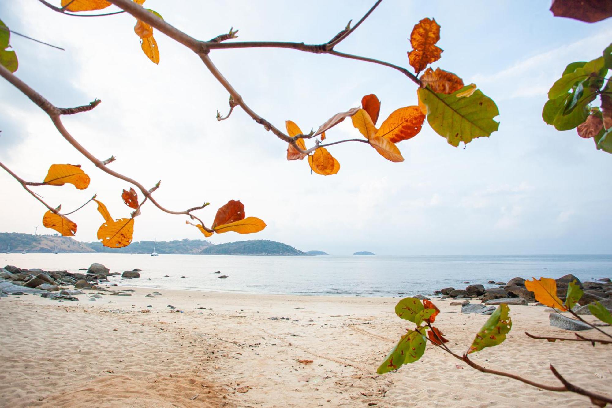 Baan Krating Phuket Resort Nai Harn Eksteriør bilde